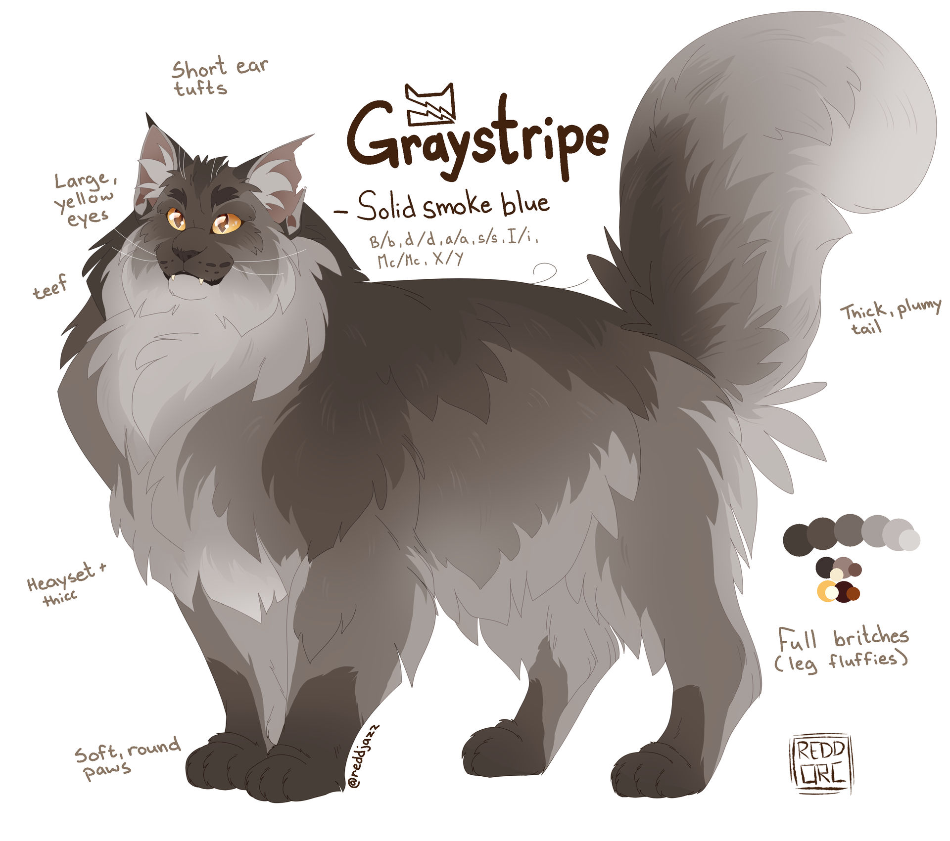 Graystripe again || Design Ref by reddjazz on DeviantArt