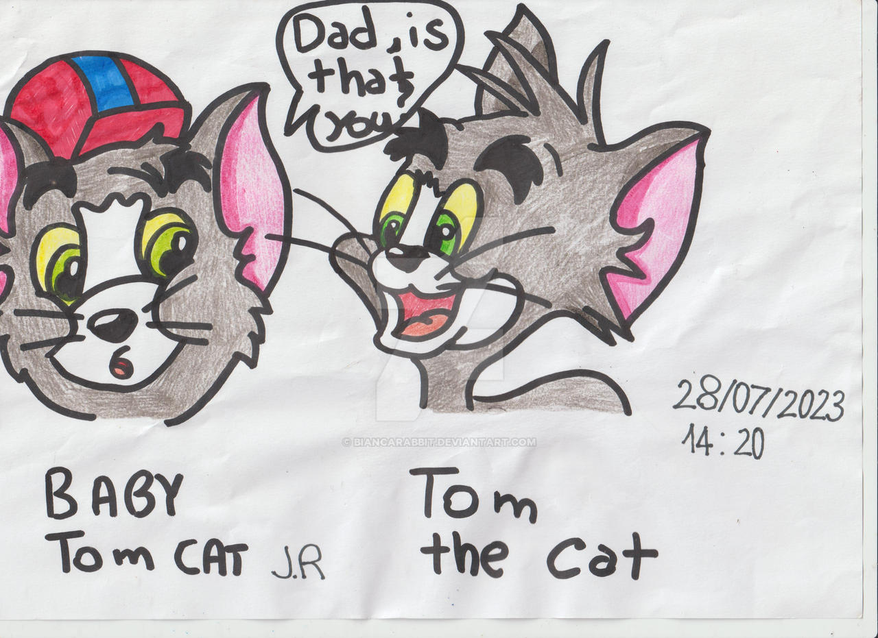 Tom Jerry Baby Rabbit Baby Tom Jr meet Tom The Cat by Biancarabbit on DeviantArt