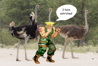 Guile hates ostriches