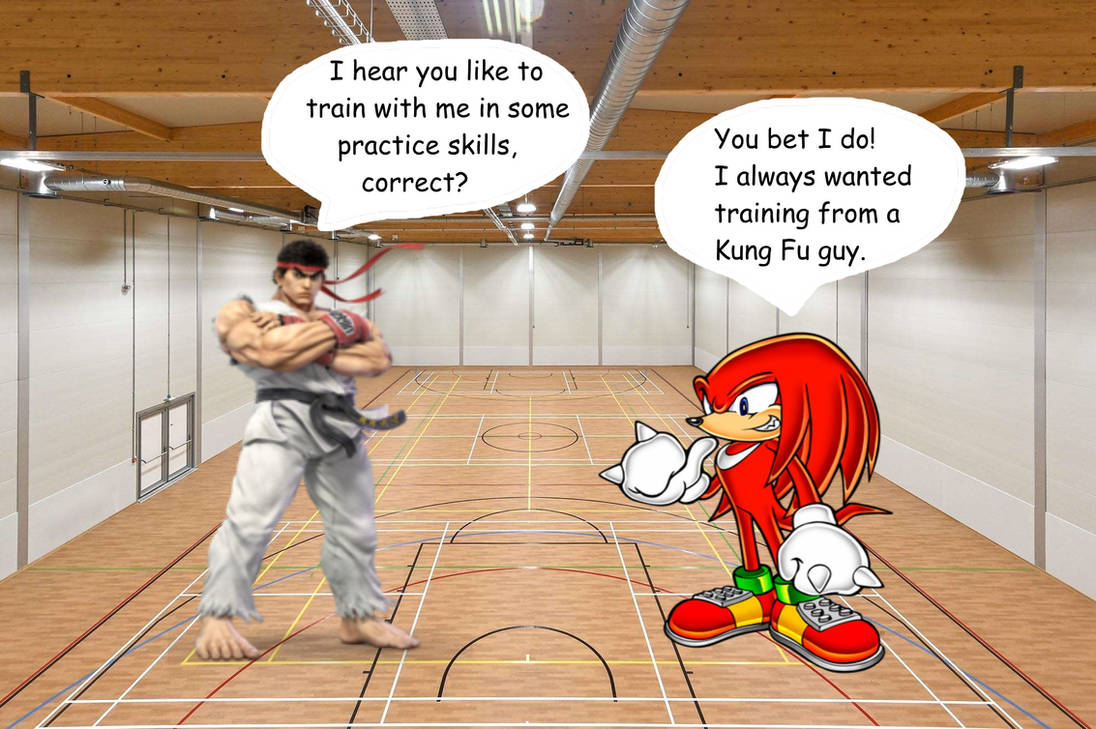 Ryan Rough Knuckles Knuckles likes to train with Ryu by ill-greed on DeviantArt