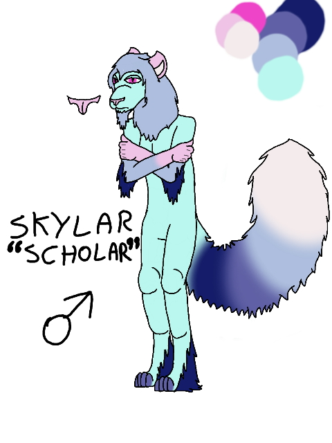 Skylar Reference