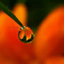 my lovely droplet