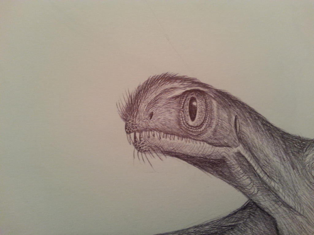 jeholopterus closeup by spinosaurus1 on DeviantArt