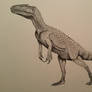 chilantaisaurus