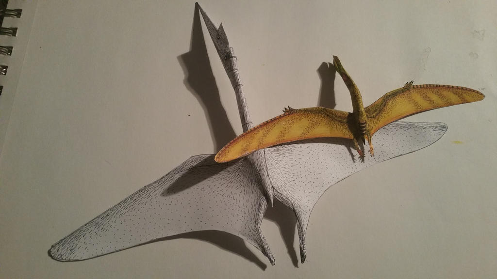 pterosaur comparison 2