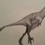 Saurornitholestes sullivani