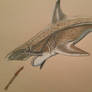 helicoprion