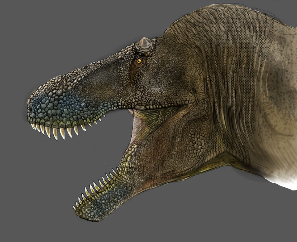 Tyrannosaurus Rex By Spinosaurus1 On DeviantArt tyrannosaurus-rex-by-spinosaurus1-on-deviantart