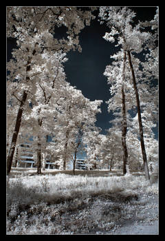 Infrared I