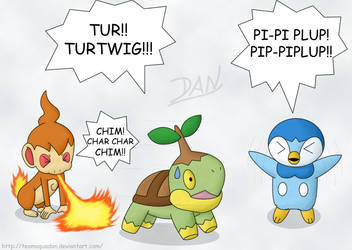 Sinnoh Starters