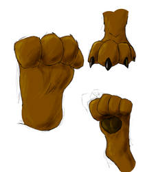 paw practice