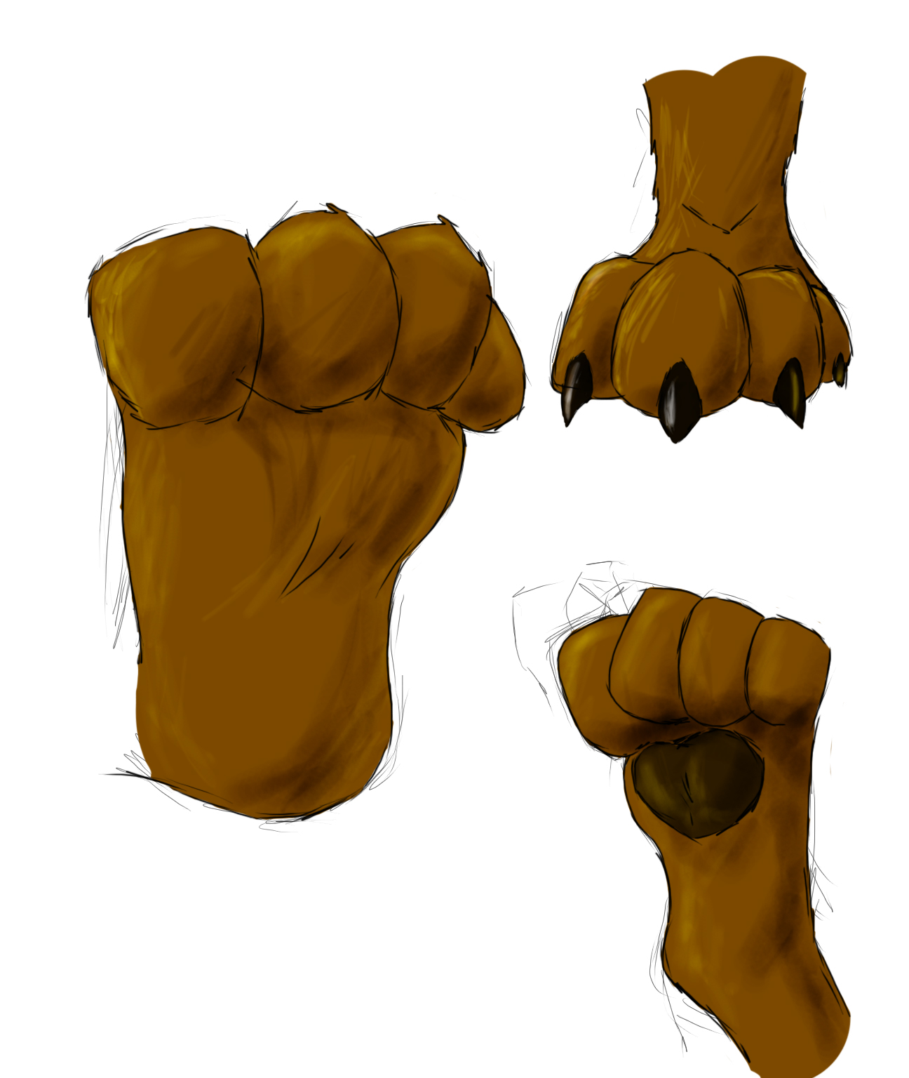 paw practice by poltickle on DeviantArt