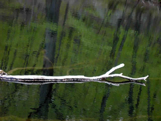 Long reflection. by hangwire on DeviantArt