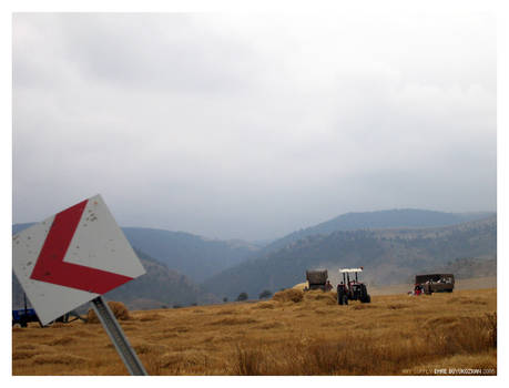 Hay Supply