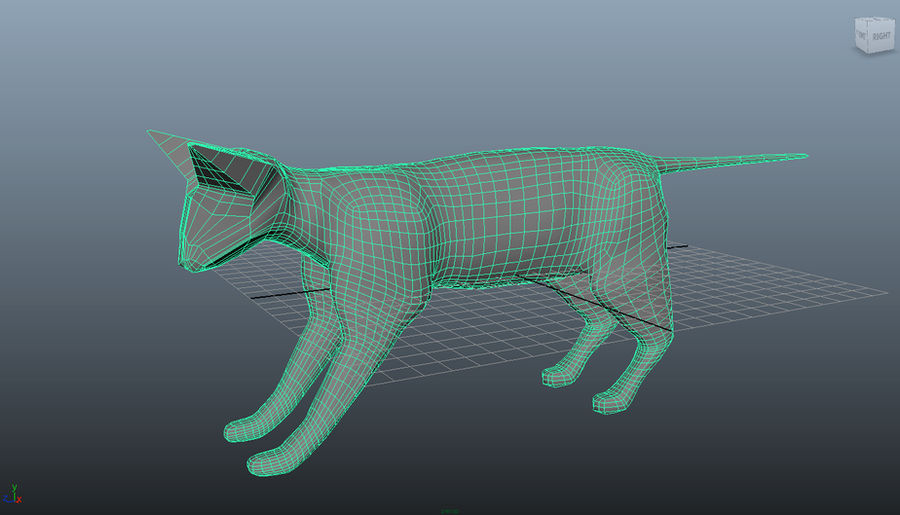 3d Cat model