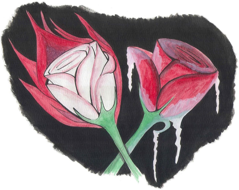 Fire And Ice Roses By Ennui Demorte On Deviantart Fire And Ice Roses By Ennui Demorte On Deviantart