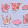 Corsola Variations