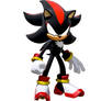 Shadow the dumb stupid hedgehog