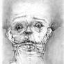 Petrified