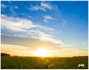 senja sore di padang rumput