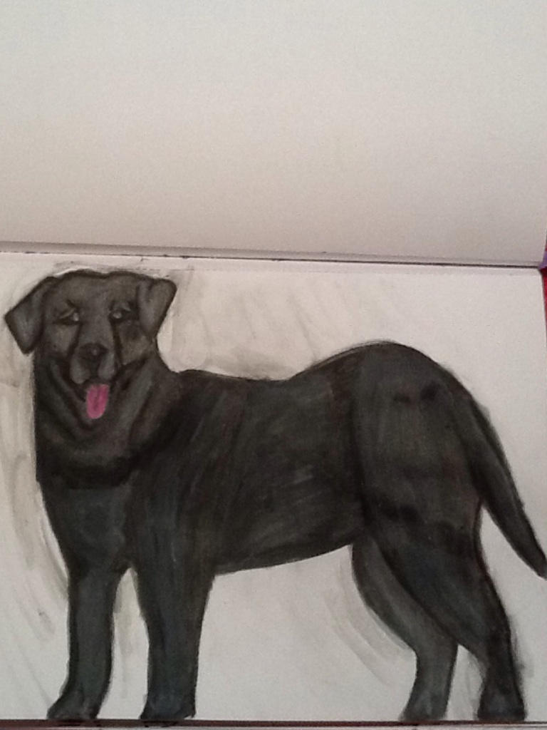 Black Lab Deviantart Black Labrador by rosecount129 on DeviantArt