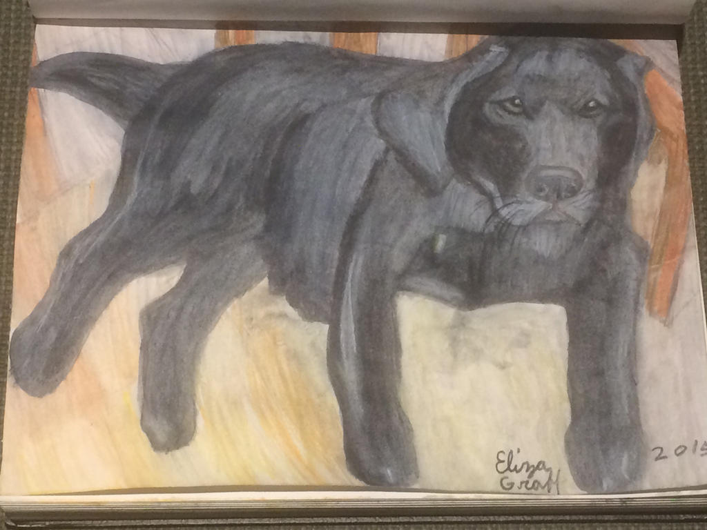Black Lab Deviantart Black Labrador Retriever by rosecount129 on DeviantArt