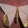 Memorial origami butterfly