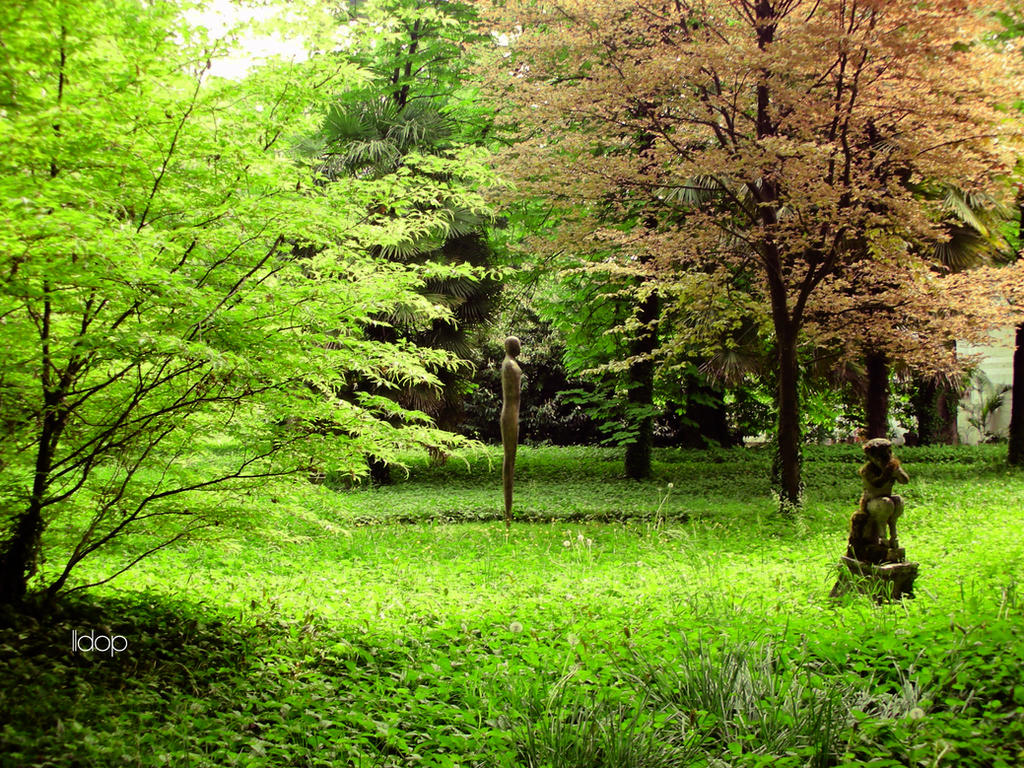 Mystical Garden