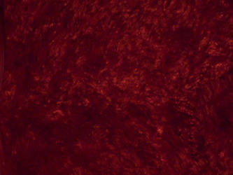 STOCK - Red Texture 001