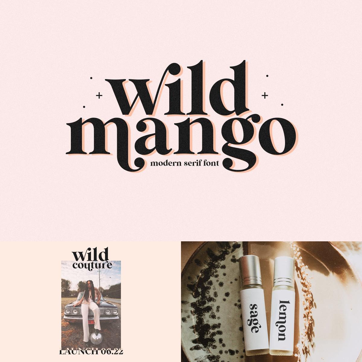 Wild Mango Font Serif Font Modern Font Boho Font Branding 