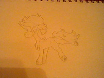 My Son Shawn Sion the Keldeo