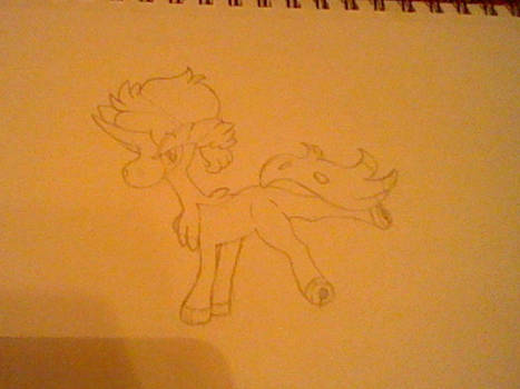 My Son Shawn Sion the Keldeo