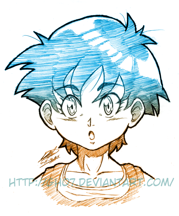 Videl Cut