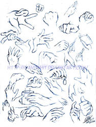 Hands Guide Study 2