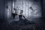 Butterflies and Ravens by Whendell