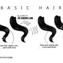 Basic Hair Tutorial