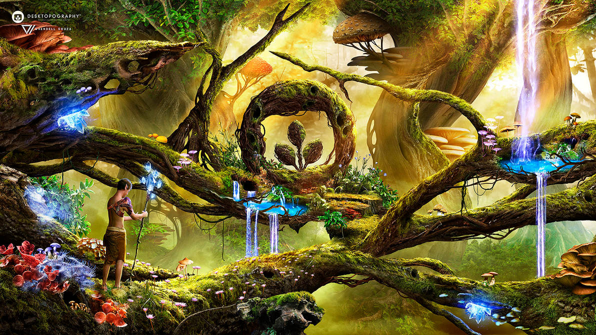 Hidden secrets of the forest by Whendell Hidden secrets of the forest by Whendell