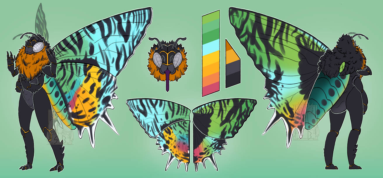 Gl2 Moth DT: Moth GF by Pixl-Bit on DeviantArt