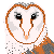 Blinking Barn Owl - Free Icon by woodland-Blue