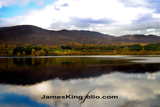 View from a scottish bus