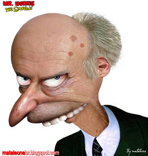 Mr. Burns real