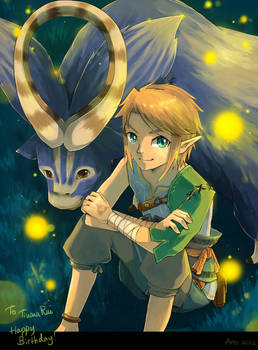 Ordon Link