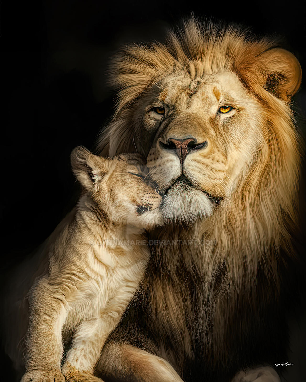 Shadows Father A Fathers Shadow by lynnamarie on DeviantArt