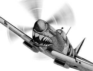 The Spitfire's teeth