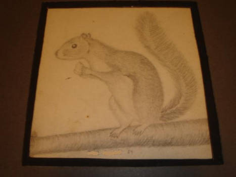 Old School Squirrel