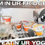 FRIDGE FELLA
