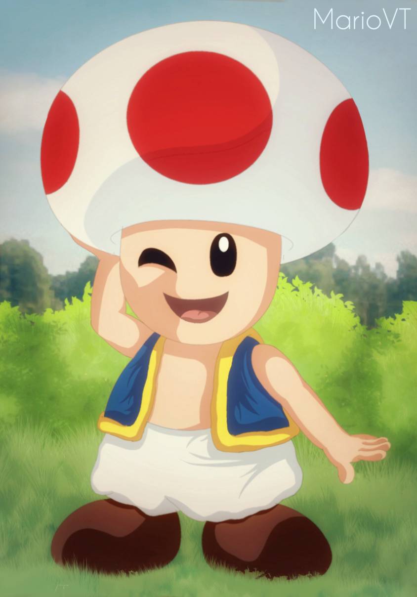 Enjoy the environment - Toad Artwork by VTMario on DeviantArt