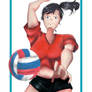 Volley