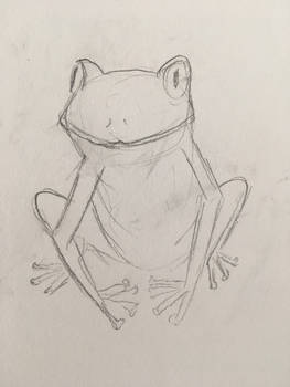 Frog sketch