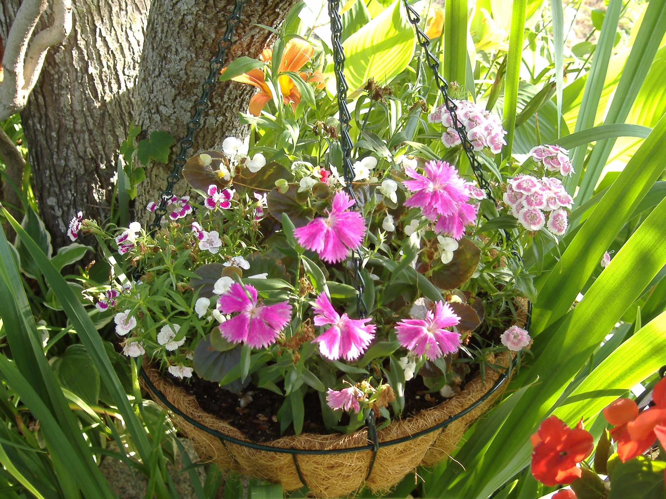 flower pot